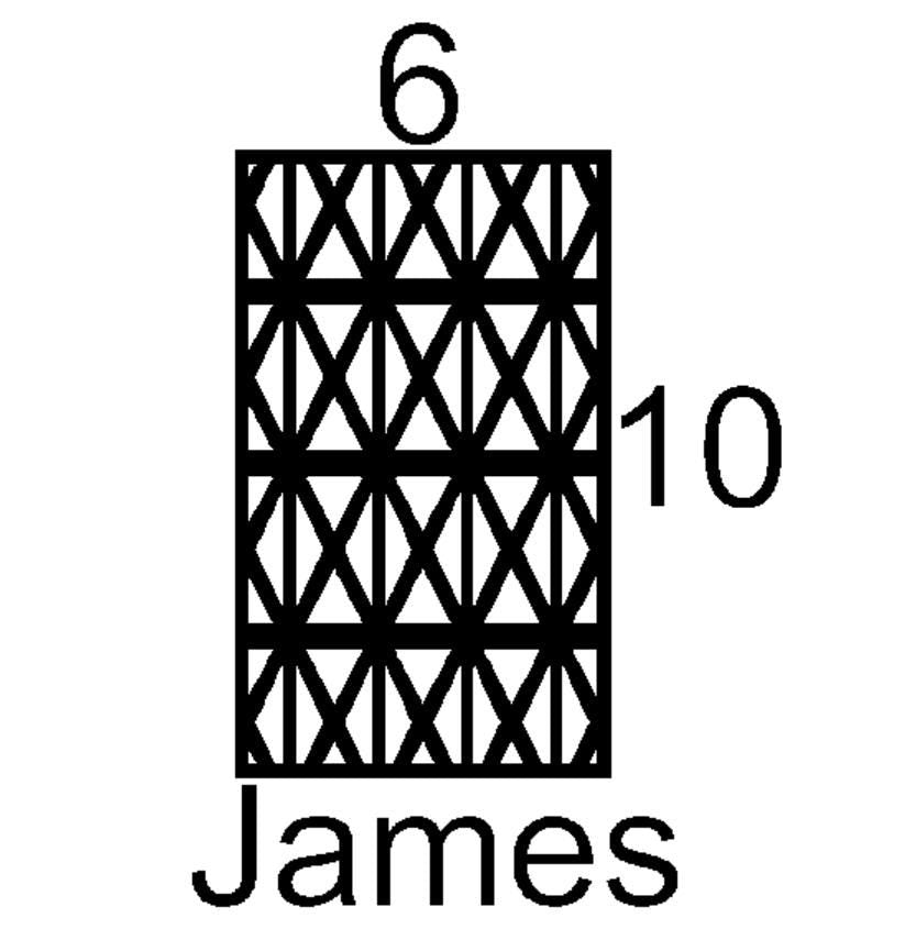 James Mini Insert Sample Size-Available in any Design
