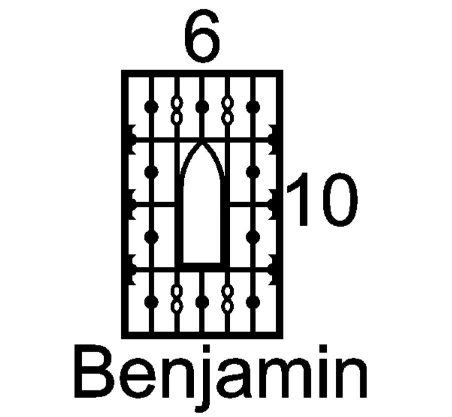 Benjamin Mini Insert Sample Size-Available in any Design