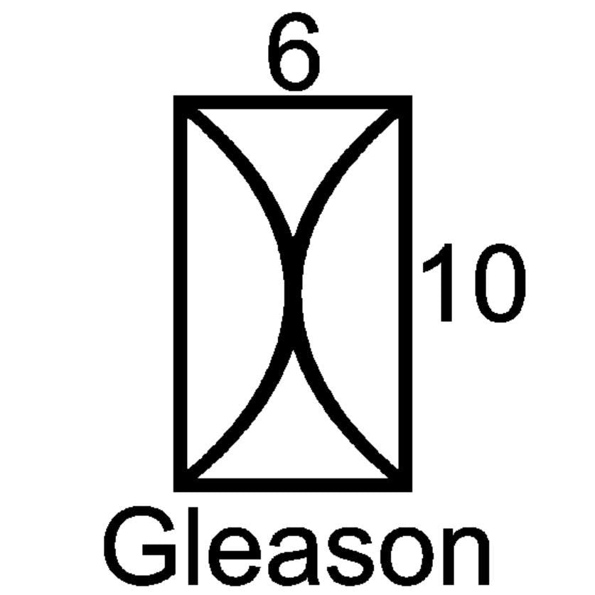 Gleason Mini Insert Sample Size-Available in any Design