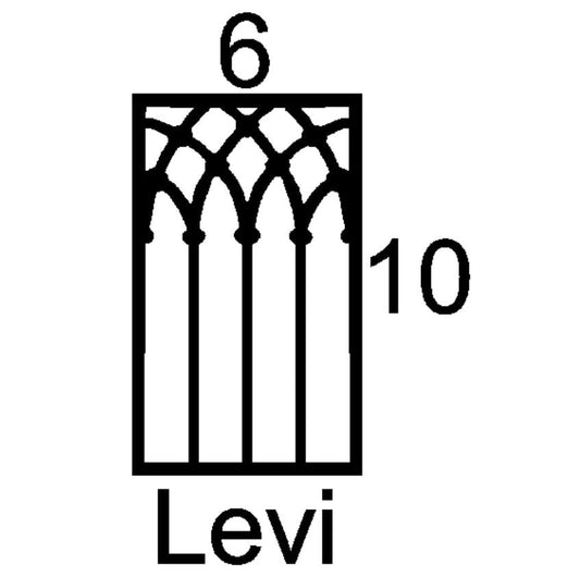 Levi Mini Insert Sample Size-Available in any Design