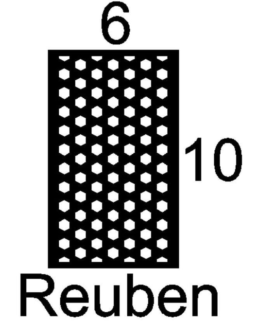 Reuben Mini Insert Sample Size-Available in any Design